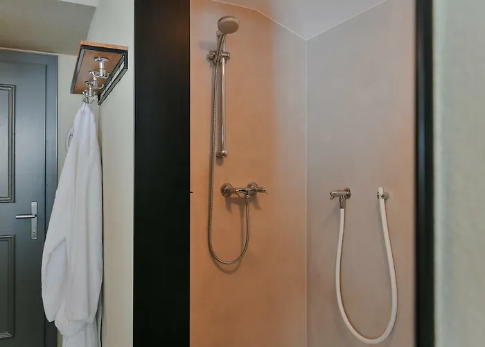 Roessle Herberg Braz